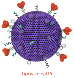 Lipovax-Fg115